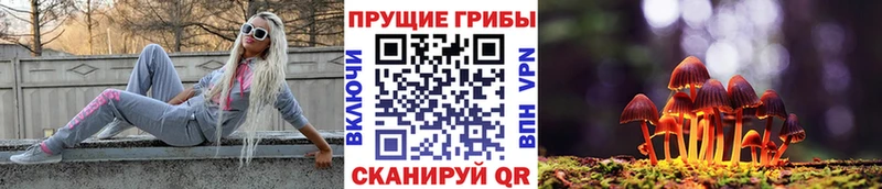 Псилоцибиновые грибы Cubensis  Мамадыш 